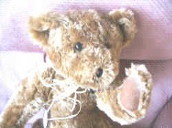 sam bear 643_04